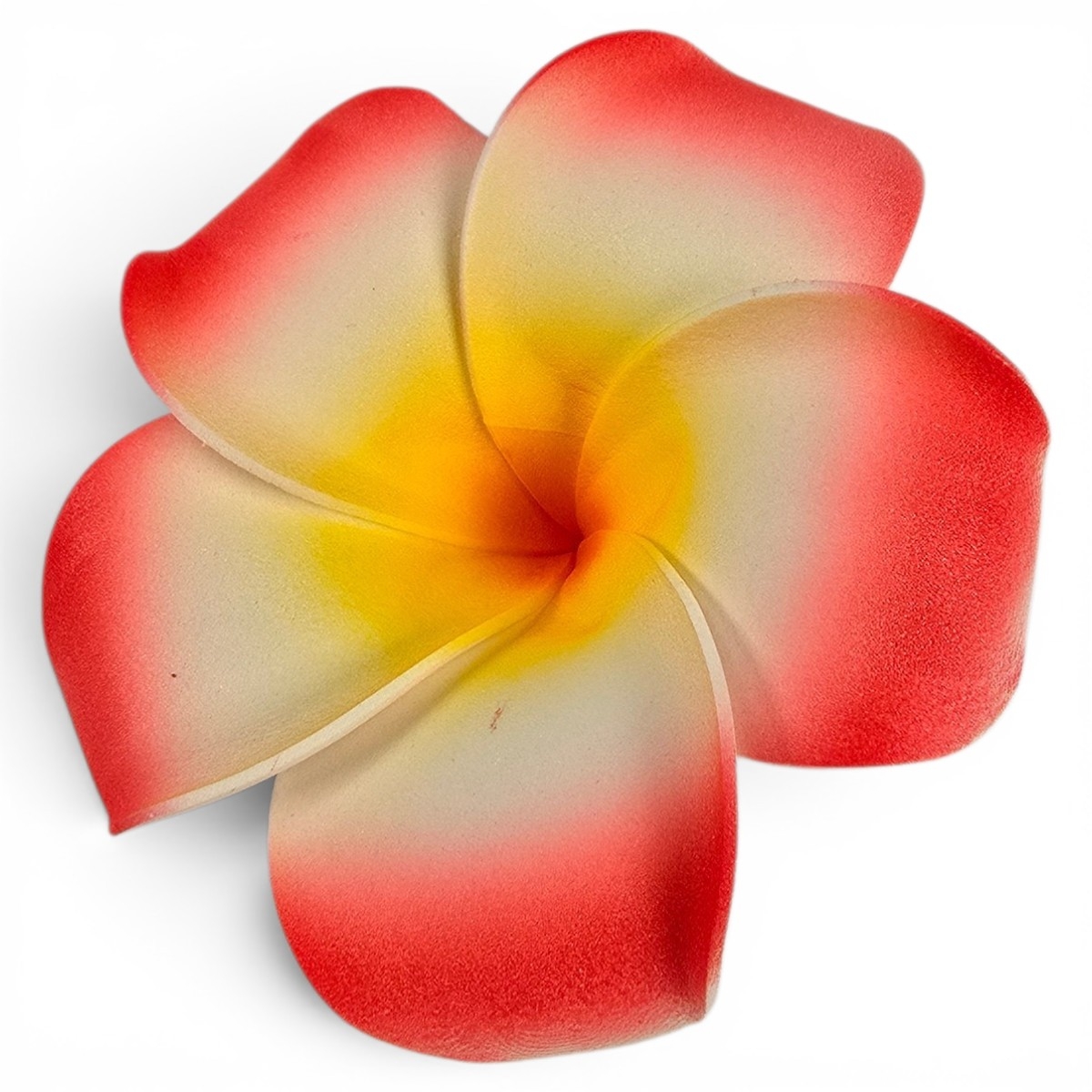 Blume Rot Blume Rot
