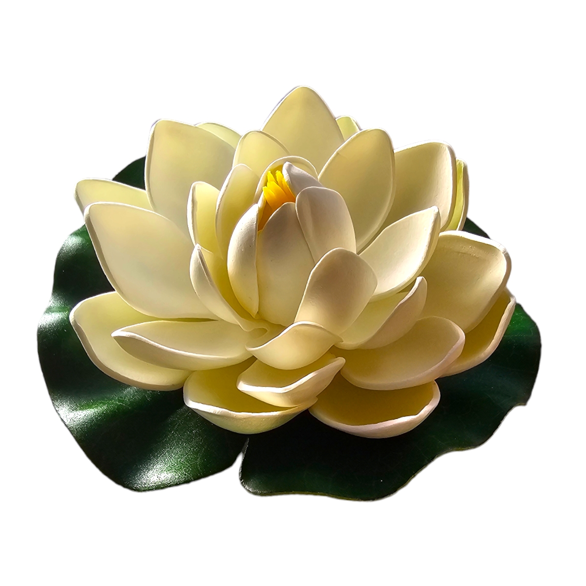 Lotus Weiß Lotus Weiß