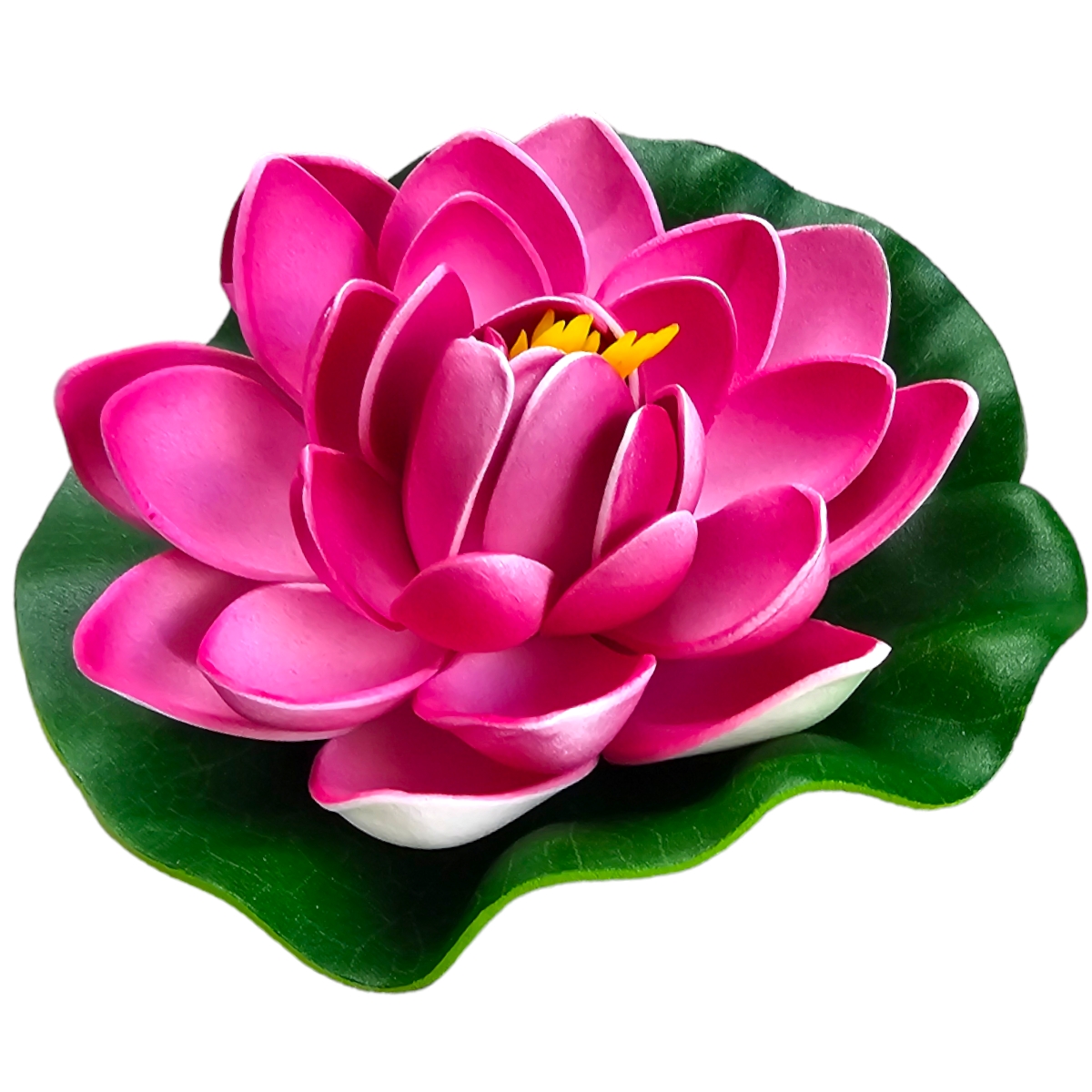 Lotus Magenta