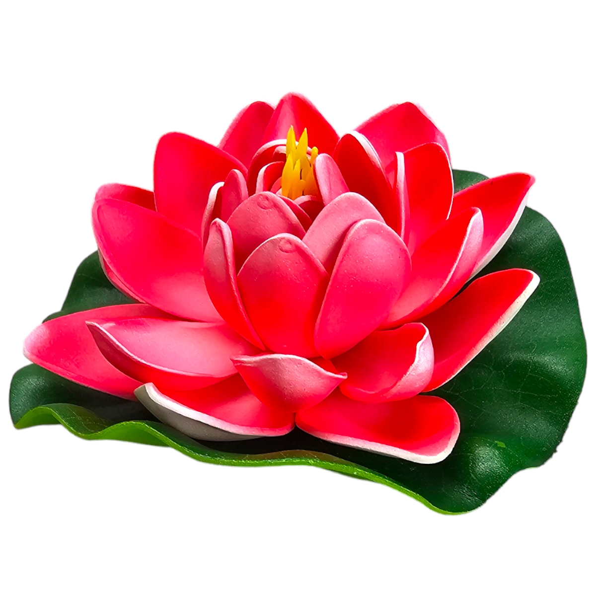 Lotus Rot/Weiß Lotus Rot/Weiß